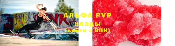 соль ск Новодвинск