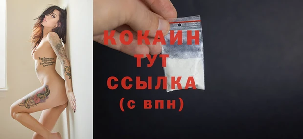соль ск Новодвинск