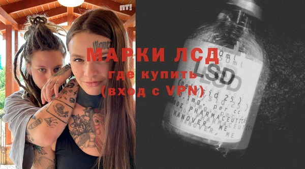 ALPHA-PVP Новозыбков