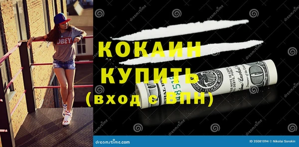 соль ск Новодвинск