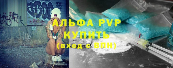 соль ск Новодвинск