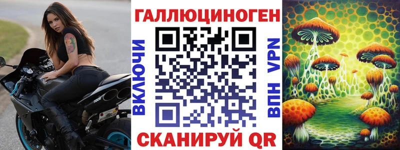 Псилоцибиновые грибы Cubensis  дарнет шоп  Любань 
